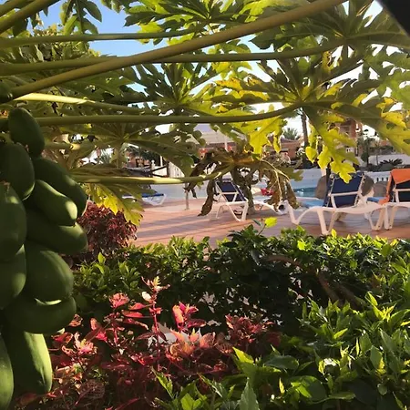 Vistas - Tenerife Royal Gardens * Playa de las Americas (Tenerife)